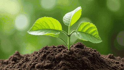 Environmental planting techniques: recycling and composting