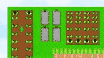 How to choose a suitable location for a vegetable garden