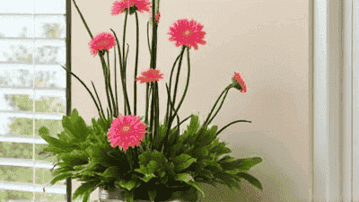Spring Floral Arrangements: Bringing Nature Inside Your Home