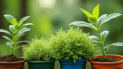 The Power of Companion Planting: Boosting Your Garden's Health Naturally